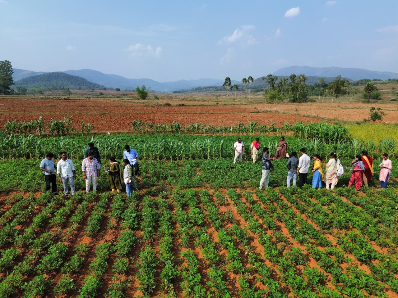 Field Visit of IFC Anchor Persons to a Polycropping Farm